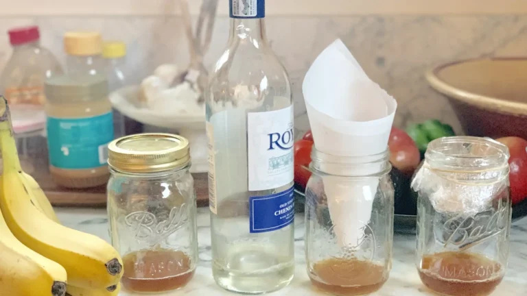 Get Rid Of Fruit Flies